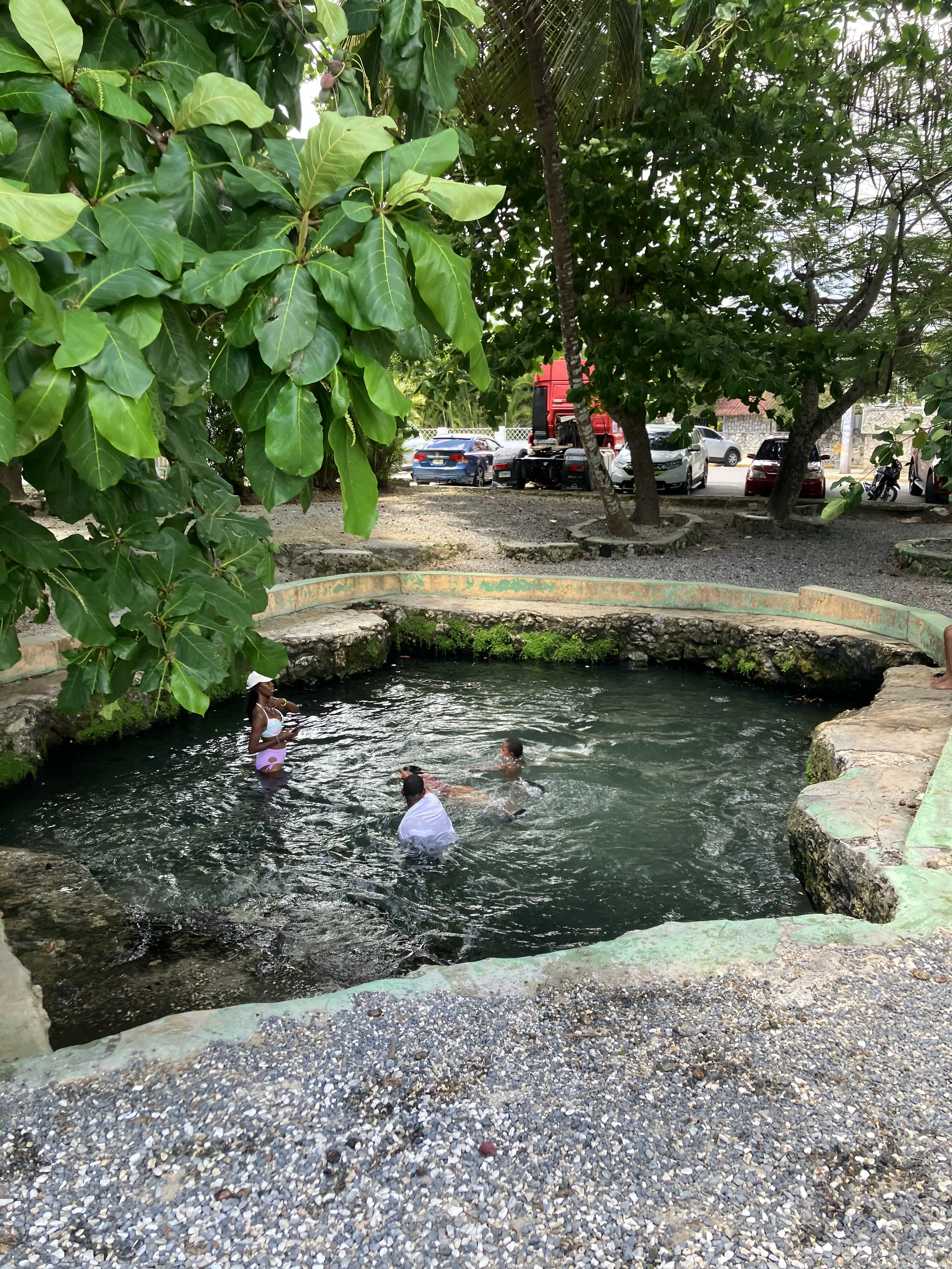 Eine Familie schwimmt im klaren Süßwasserbecken von Manantial La Cueva in Bayahibe
