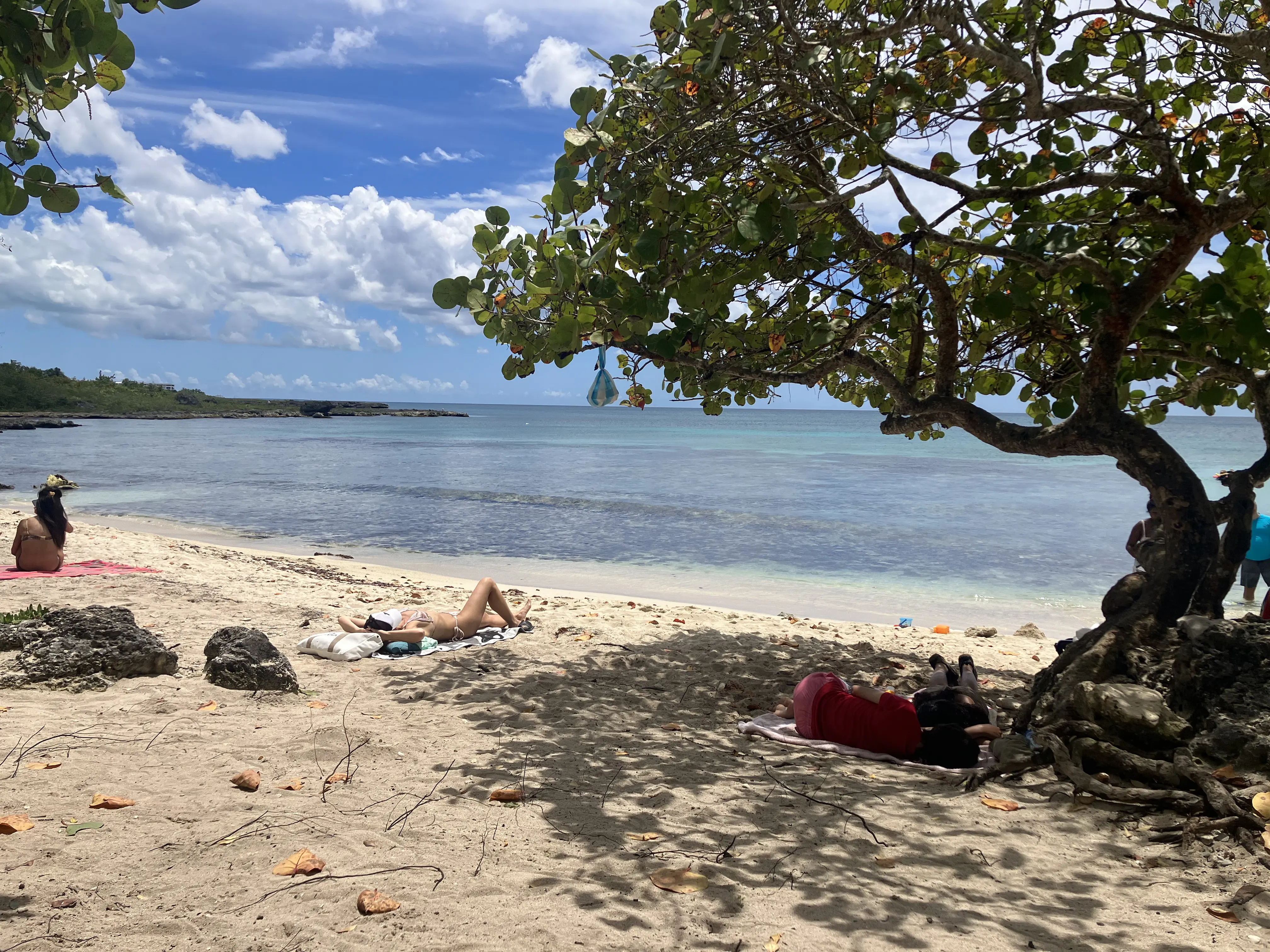 Playa Magallanes Strand mit ruhigem türkisblauem Wasser und felsiger Küstenlinie bei Bayahibe